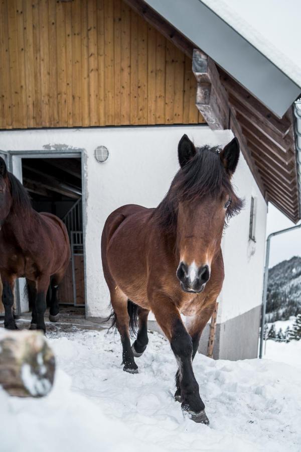 Bio Bauernhof Oberhinterberg Appartement อันนาแบร์ อิม ลัมเมอร์ทาล ภายนอก รูปภาพ